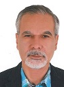 محمود فتحی